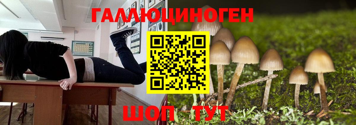 Галлюциногенные грибы ЛСД  Псилоцибиновые грибы ЛСД  Вход с VPN  Кореновск 